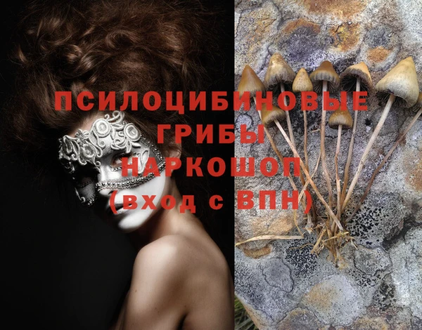 кокаин колумбия Богданович