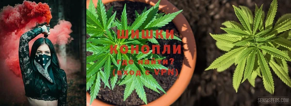 кокаин колумбия Богданович