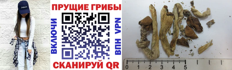 Псилоцибиновые грибы Magic Shrooms  Когалым 